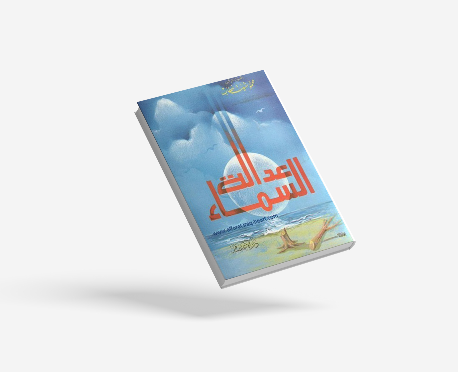 عدالة السماء